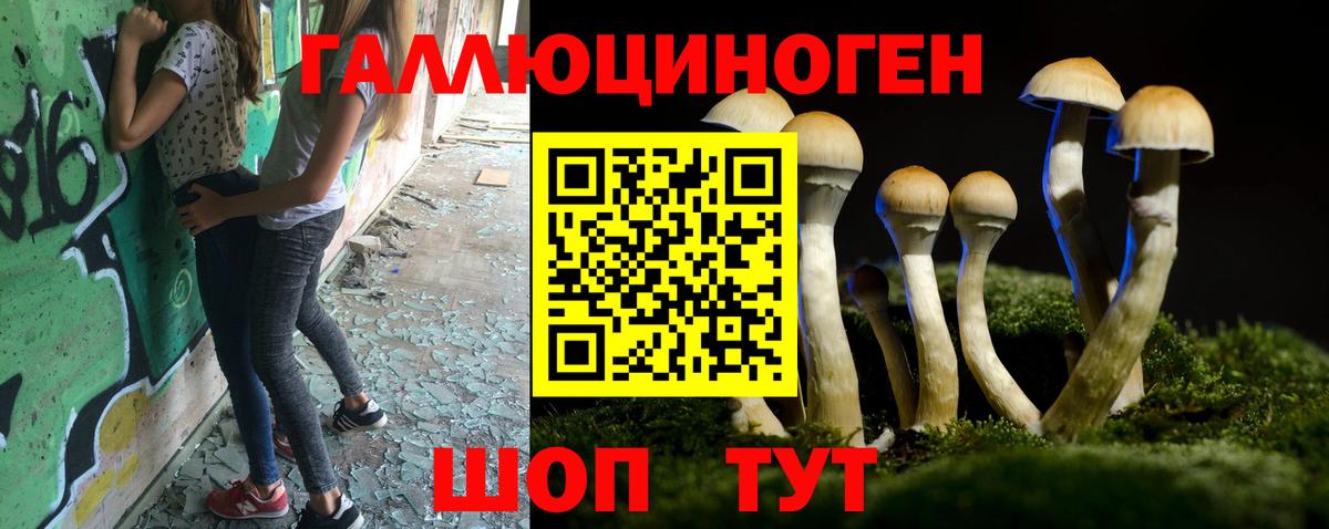 Нижнекамск  Псилоцибиновые грибы мухоморы  Вход с VPN  Псилоцибиновые грибы мухоморы 